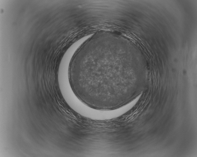 X0000087671010200705181659