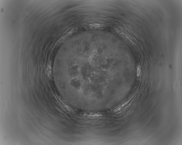 X0000087671011200705181659