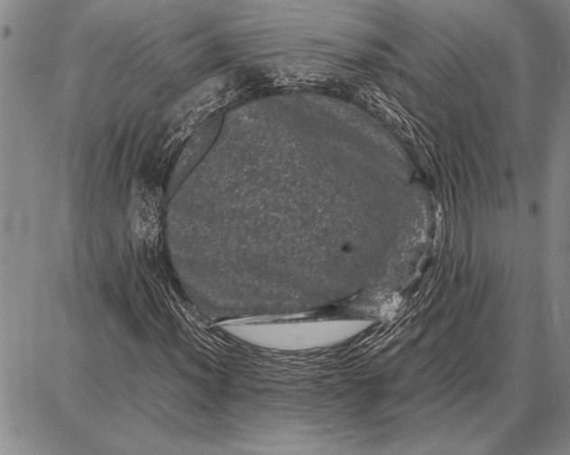 X0000087671012200705181659