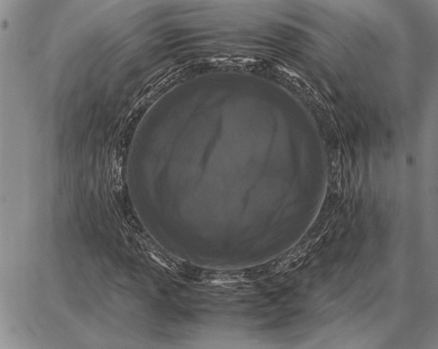 X0000087671013200705181659