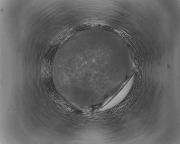 X0000087671014200705181659