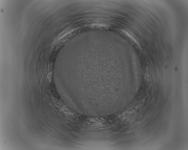 X0000087671015200705181659