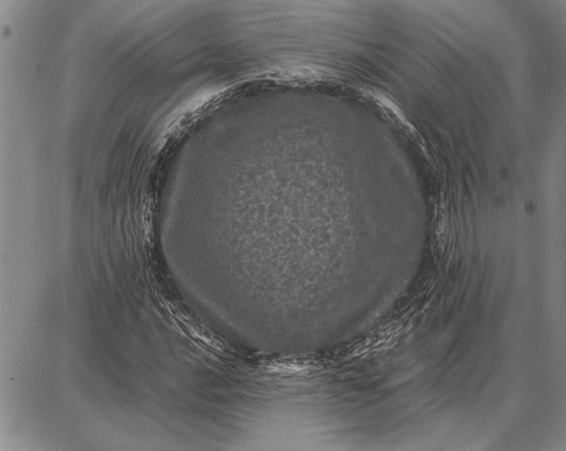 X0000087671016200705181659