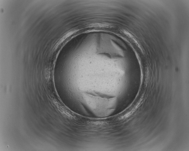 X0000087671017200705181659