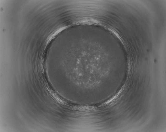 X0000087671018200705181659