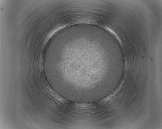 X0000087671019200705181659