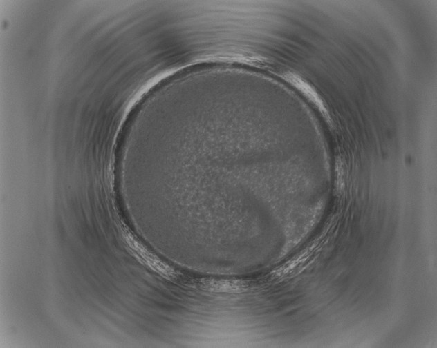 X0000087671020200705181659