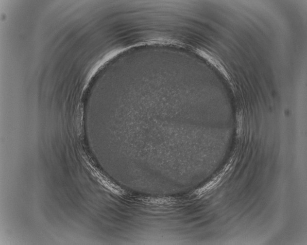 X0000087671021200705181659