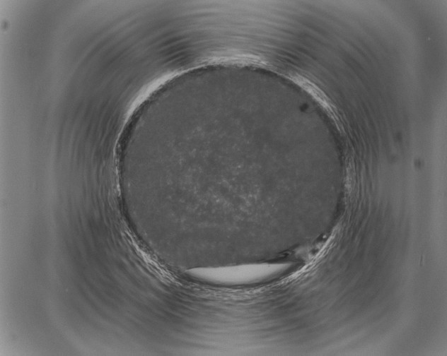 X0000087671022200705181659