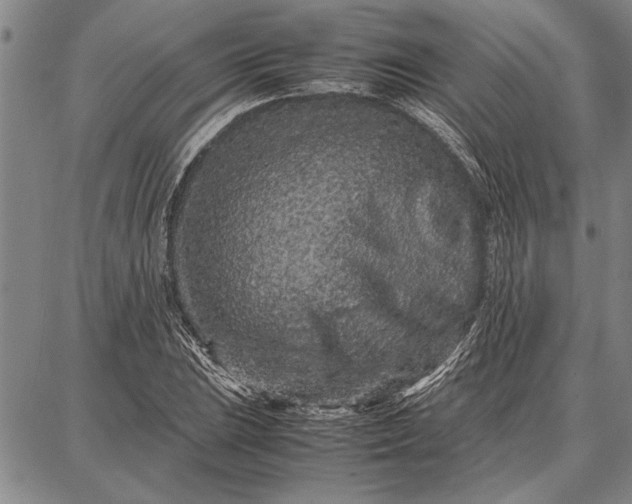 X0000087671023200705181659