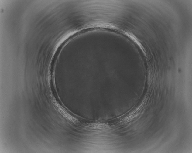 X0000087671024200705181659