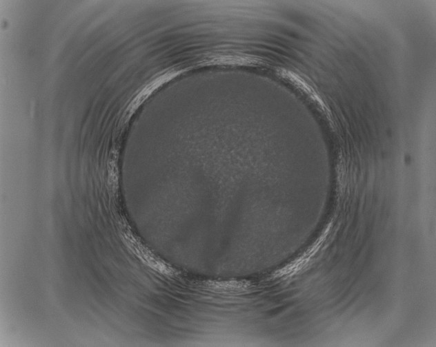 X0000087671025200705181659