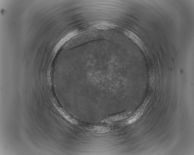 X0000087671026200705181659