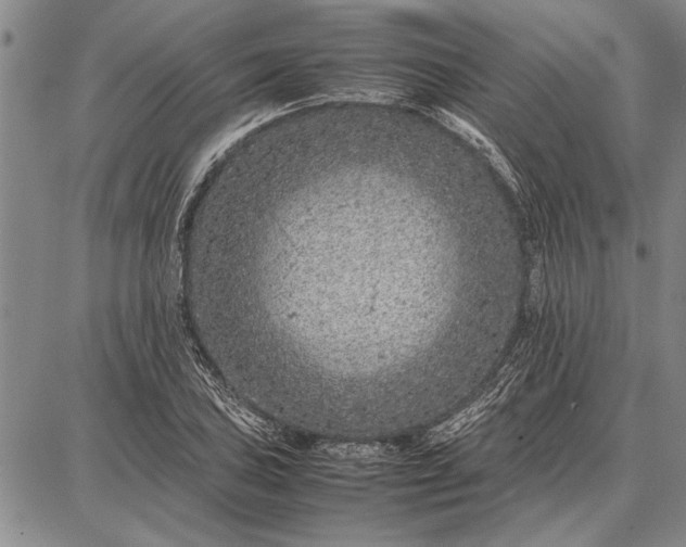 X0000087671027200705181659