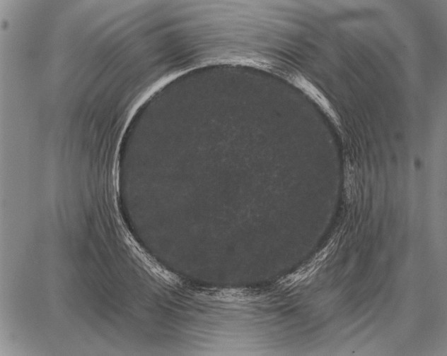 X0000087671028200705181659