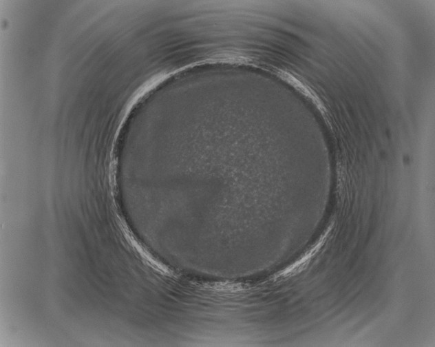 X0000087671029200705181659