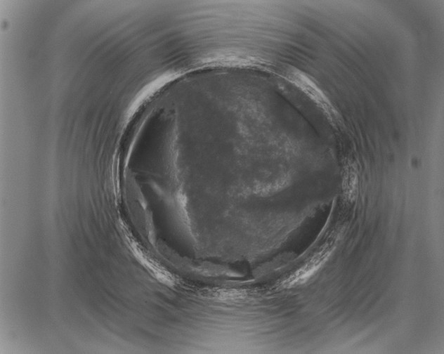 X0000087671030200705181659