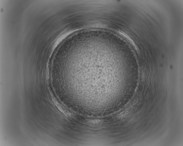 X0000087671031200705181659