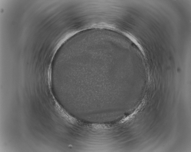 X0000087671032200705181659