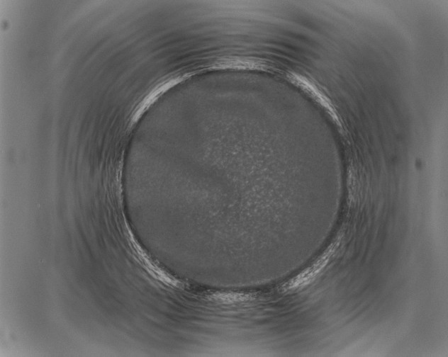 X0000087671033200705181659