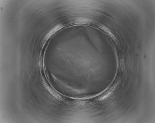 X0000087671034200705181659