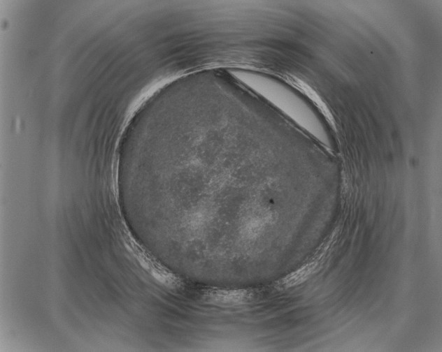 X0000087671035200705181659