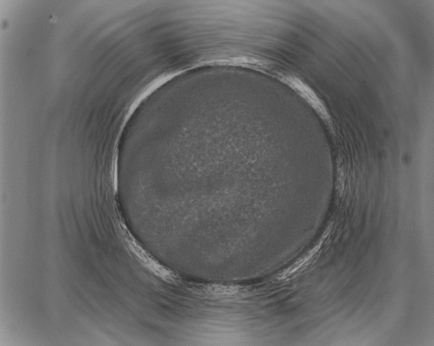 X0000087671036200705181659