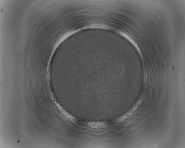 X0000087671037200705181659