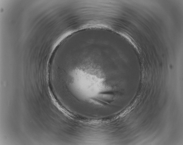 X0000087671038200705181659