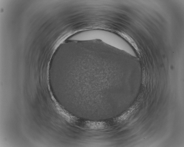 X0000087671039200705181659