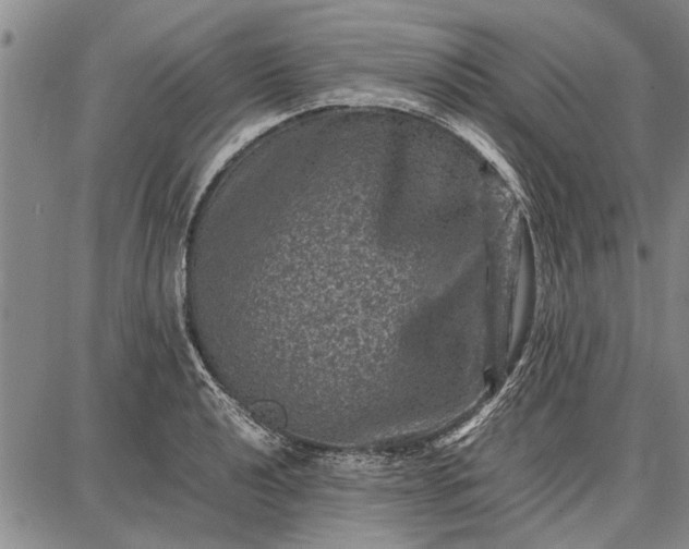 X0000087671040200705181700