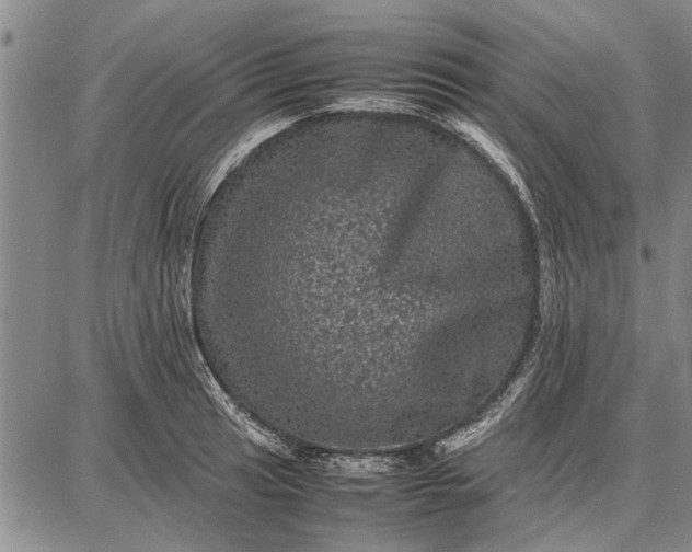 X0000087671041200705181700