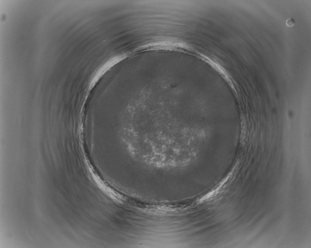 X0000087671042200705181700