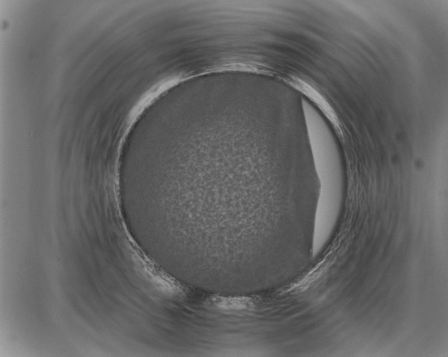 X0000087671043200705181700