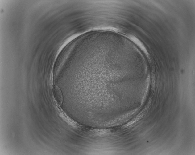 X0000087671044200705181700