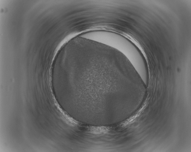 X0000087671045200705181700