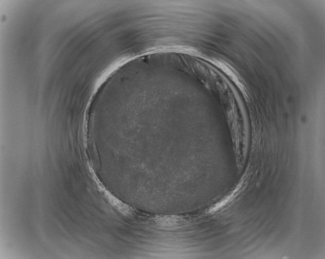 X0000087671046200705181700