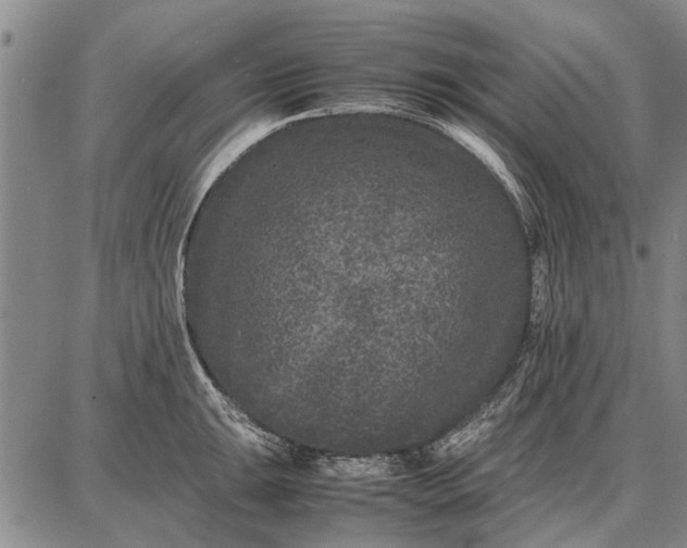 X0000087671047200705181700