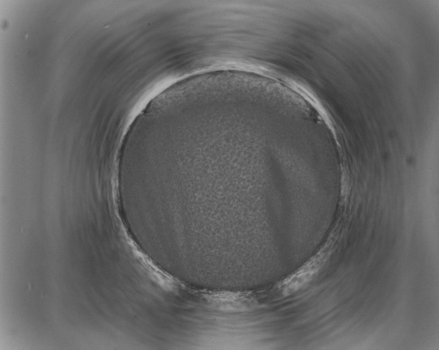 X0000087671048200705181700