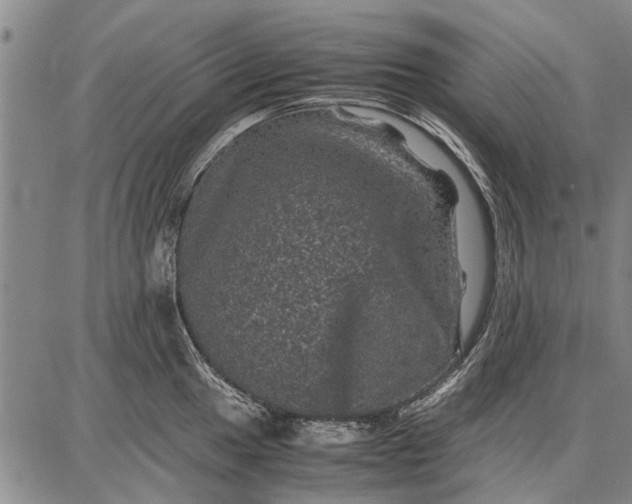 X0000087671049200705181700