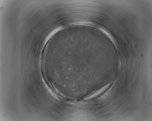 X0000087671050200705181700