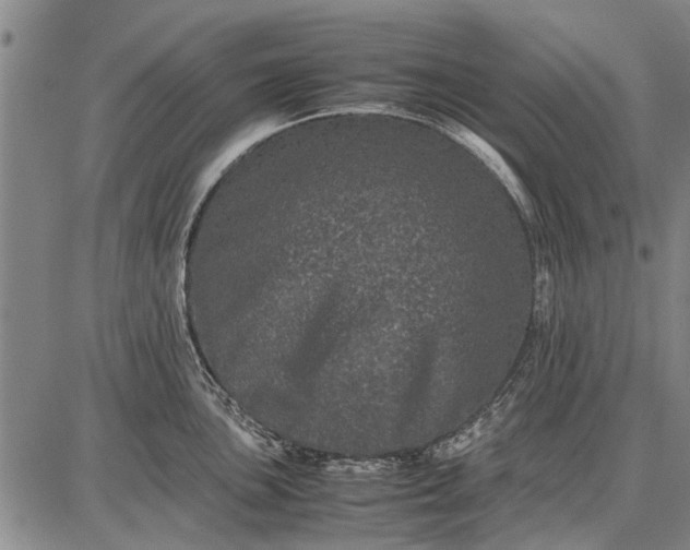 X0000087671051200705181700