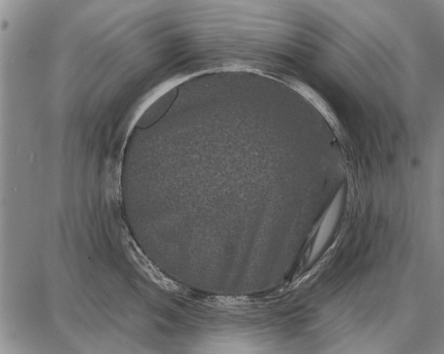 X0000087671052200705181700