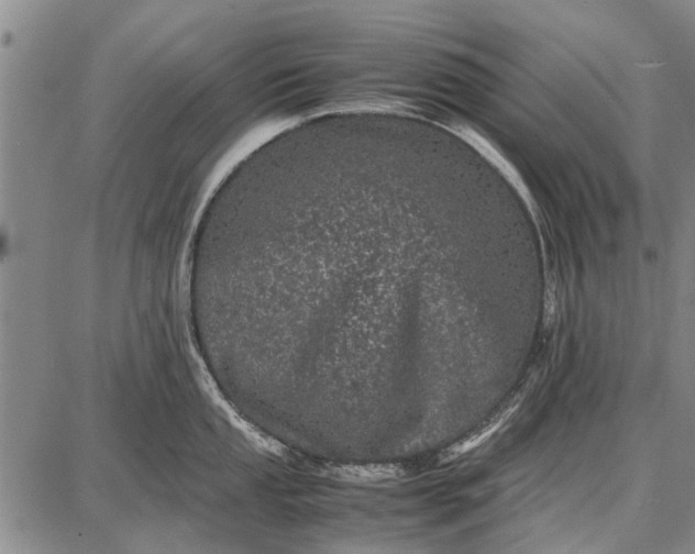 X0000087671053200705181700