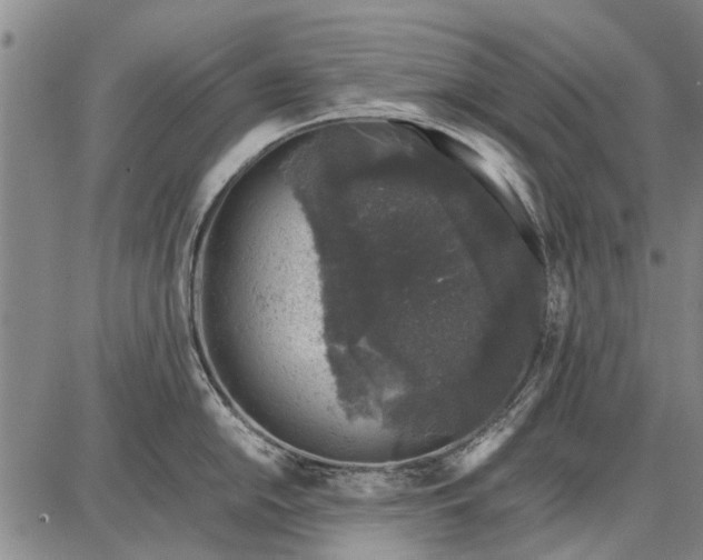 X0000087671054200705181700