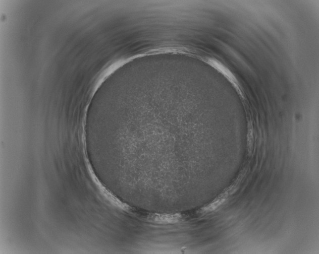 X0000087671055200705181700