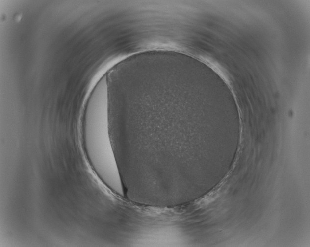 X0000087671056200705181700