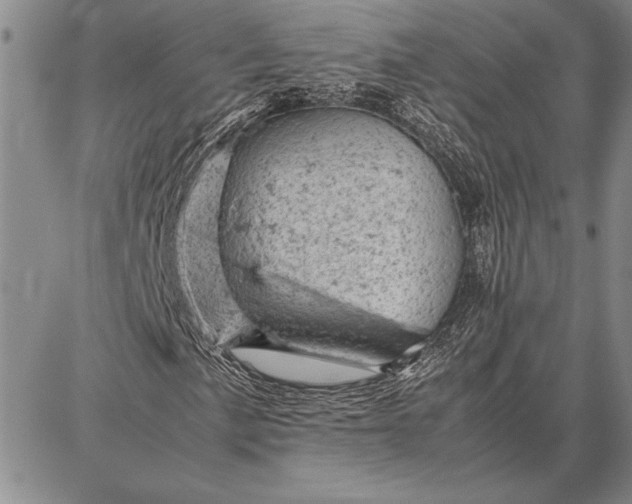 X0000087671057200705181659