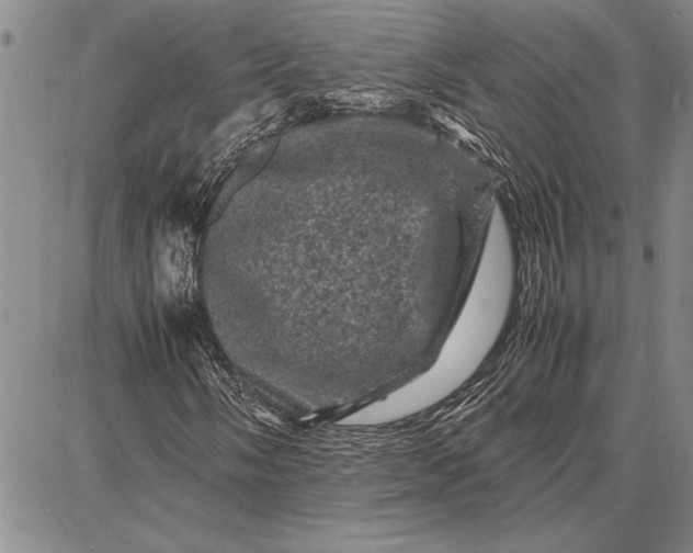 X0000087671058200705181659