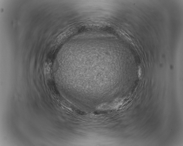 X0000087671059200705181659